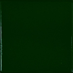 P/26 verde foglia