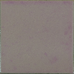 P/49 glicine